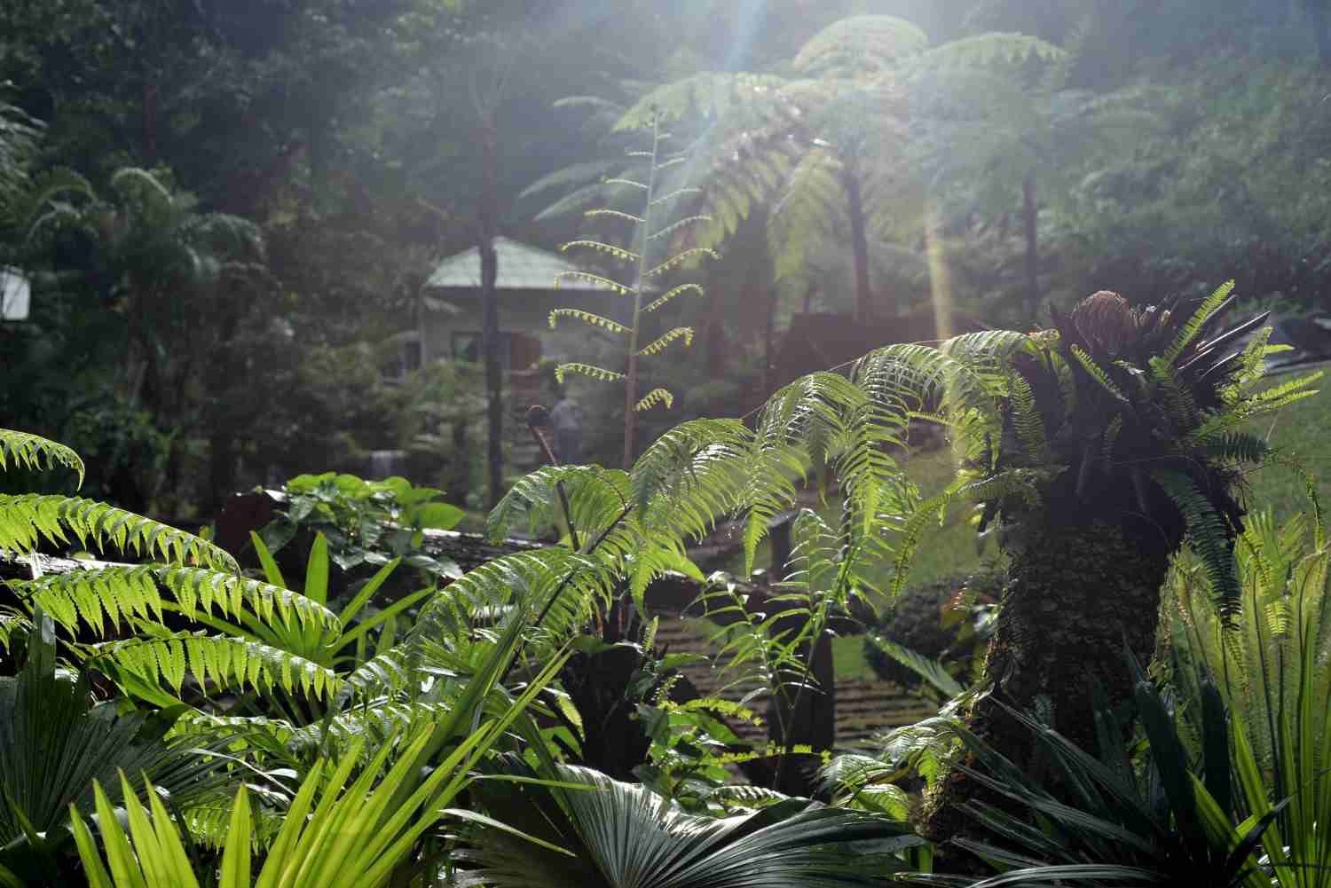 Natura si biodiversitatea din Panama.LTS
