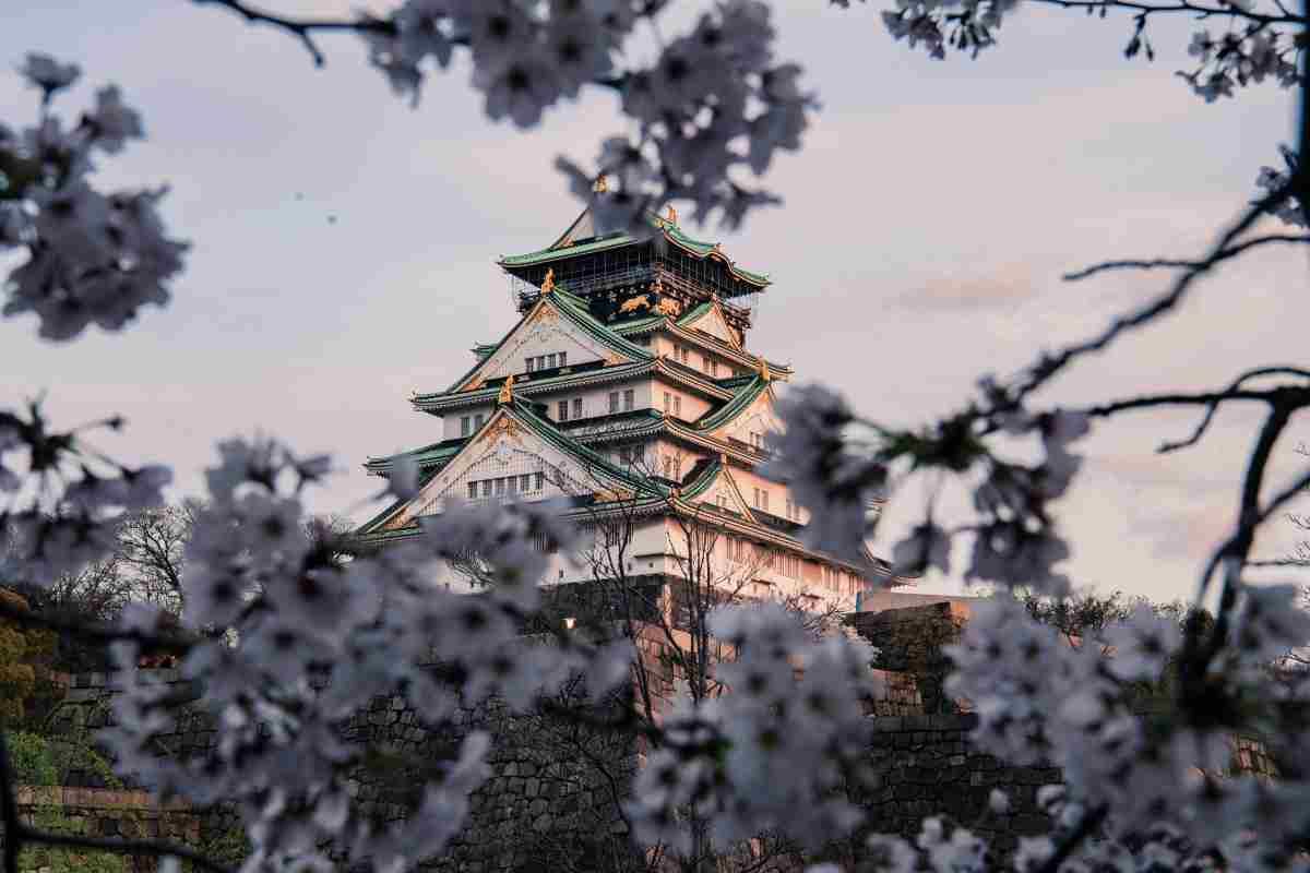 Osaka - centrul gastronomic si cultural_Osaka, templu, flori de cires