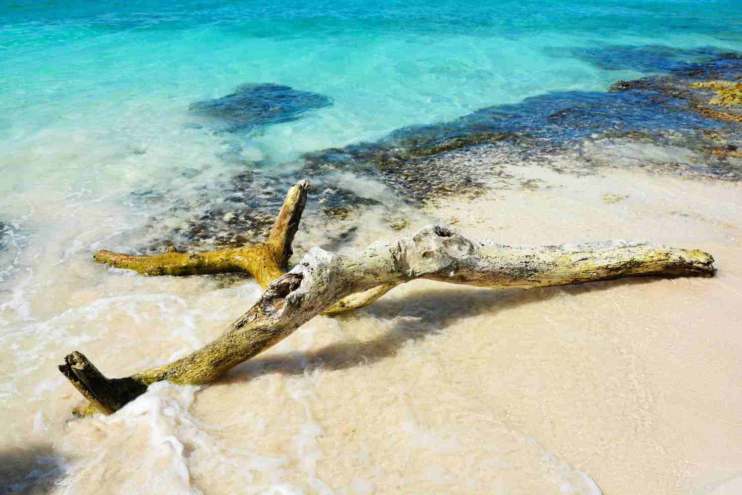 Turism si experiente unice in Panama.LTS