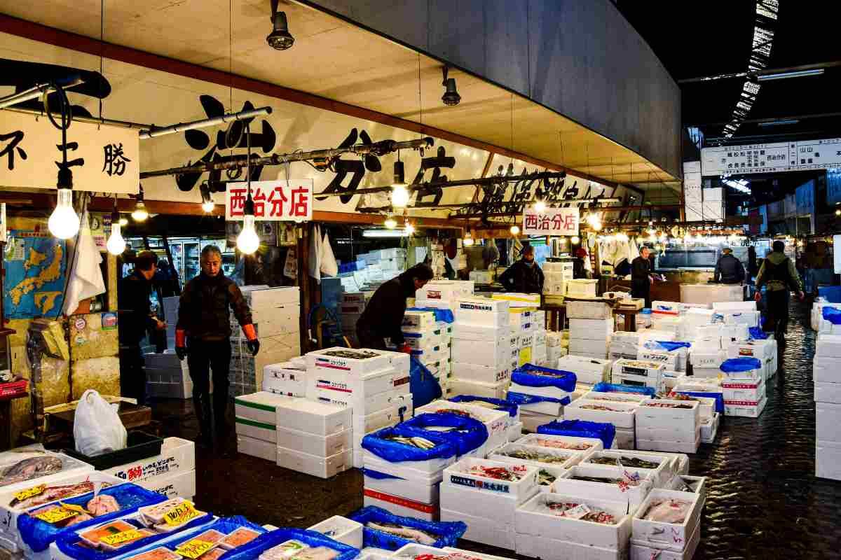 Tsukiji Market Tokyo - paradisul iubitorilor de peste proaspat_ Tsukiji Market Tokyo, comercianti, cutii cu peste si fructe de mare.