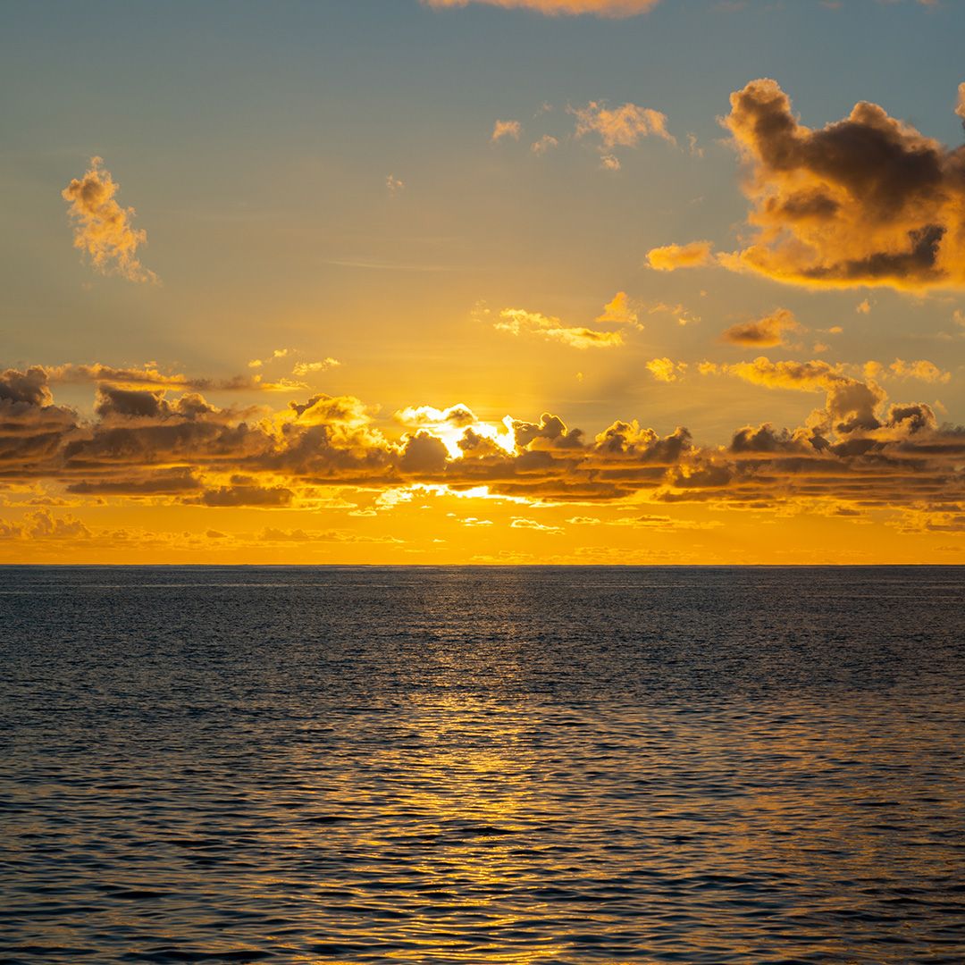 Croaziera Fort Lauderdale, Florida, SUA, Key West, Florida, SUA, Insula Grand Bahama, Bahamas, 4 nopti, ianuarie 2028, Celebrity Reflection, Celebrity Cruises®