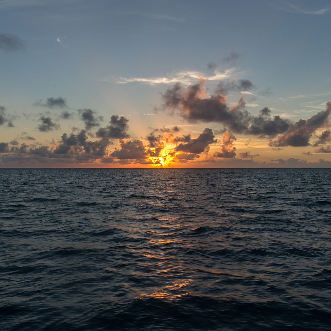 Croaziera Fort Lauderdale, Florida, SUA, Key West, Florida, SUA, Insula Grand Bahama, Bahamas, 3 nopti, iulie 2027, Celebrity Reflection, Celebrity Cruises®