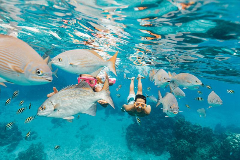 Copii, snorkeling, pesti, Cozumel