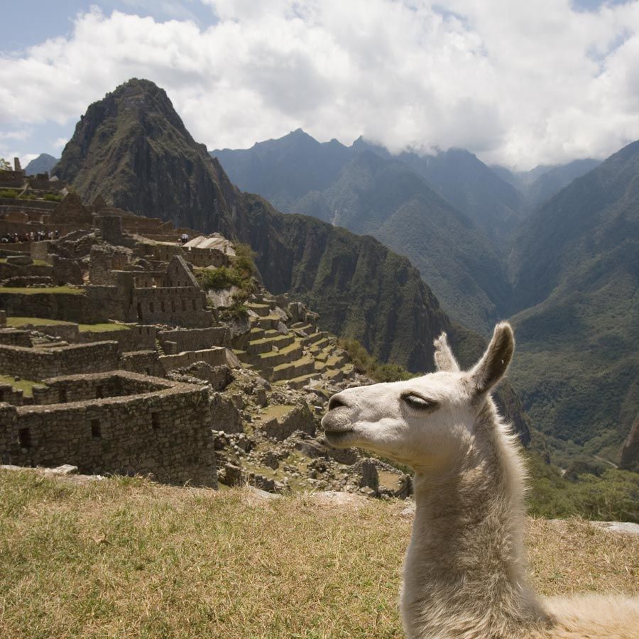 Croaziere in America de Sud Machu Pichu