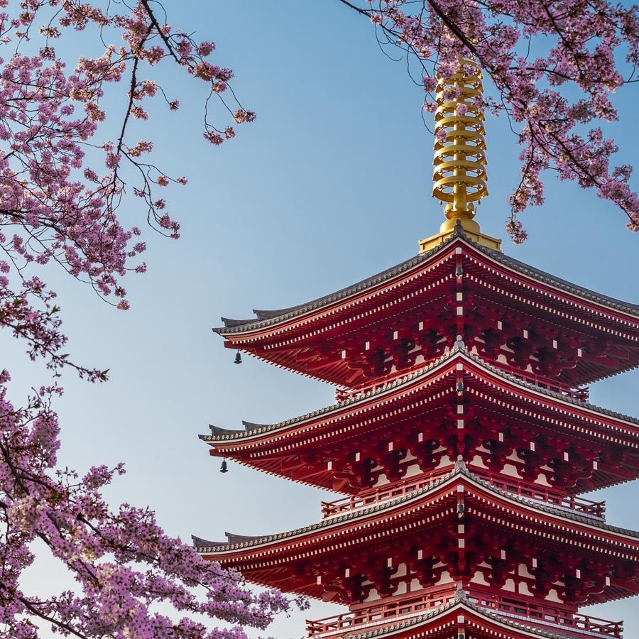 Croazieră în China si Japonia