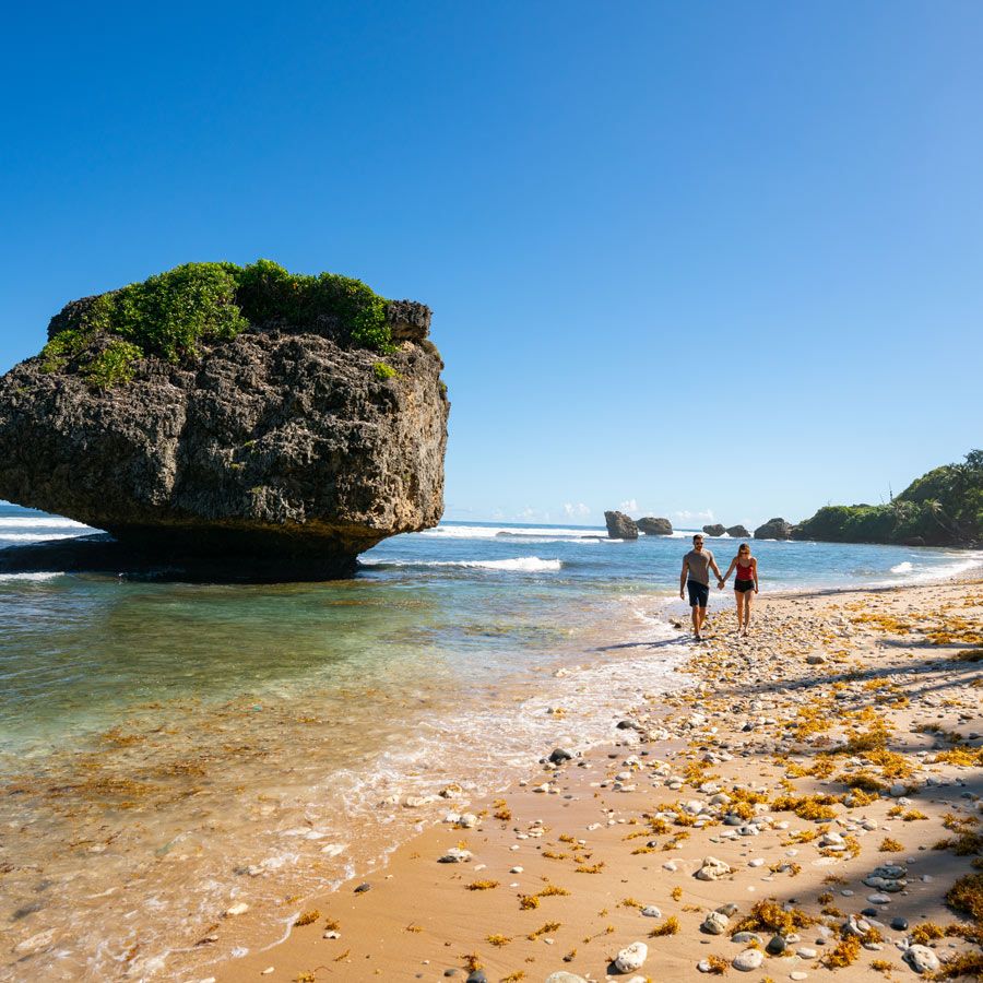 Croazieră în Caraibele de Sud