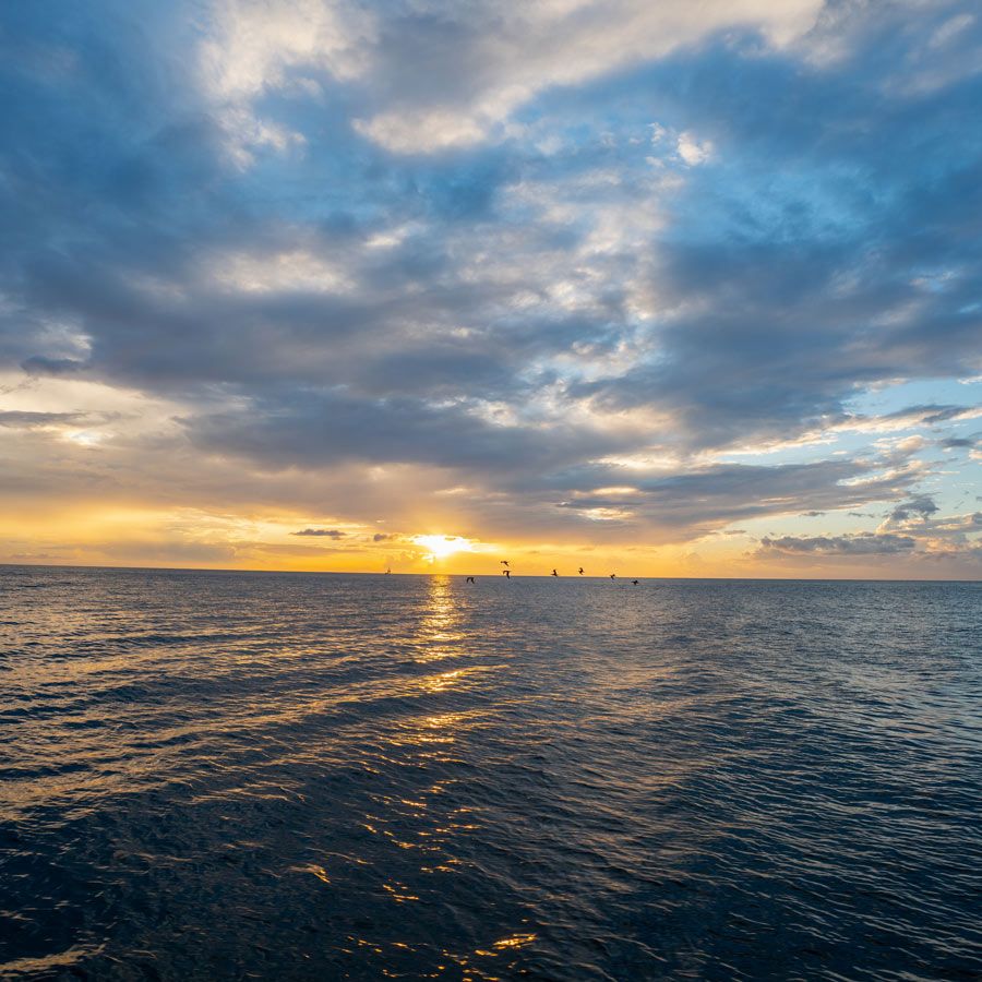 Croazieră în Caraibele de Est