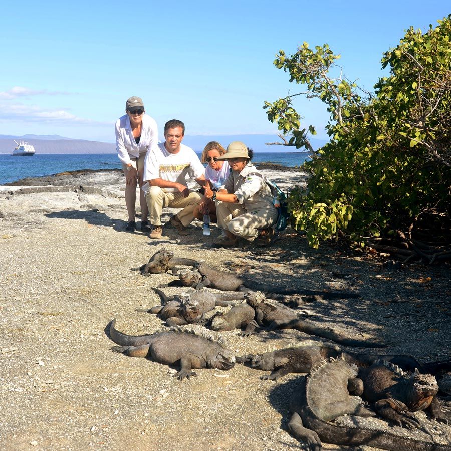 Croazieră în Galapagos