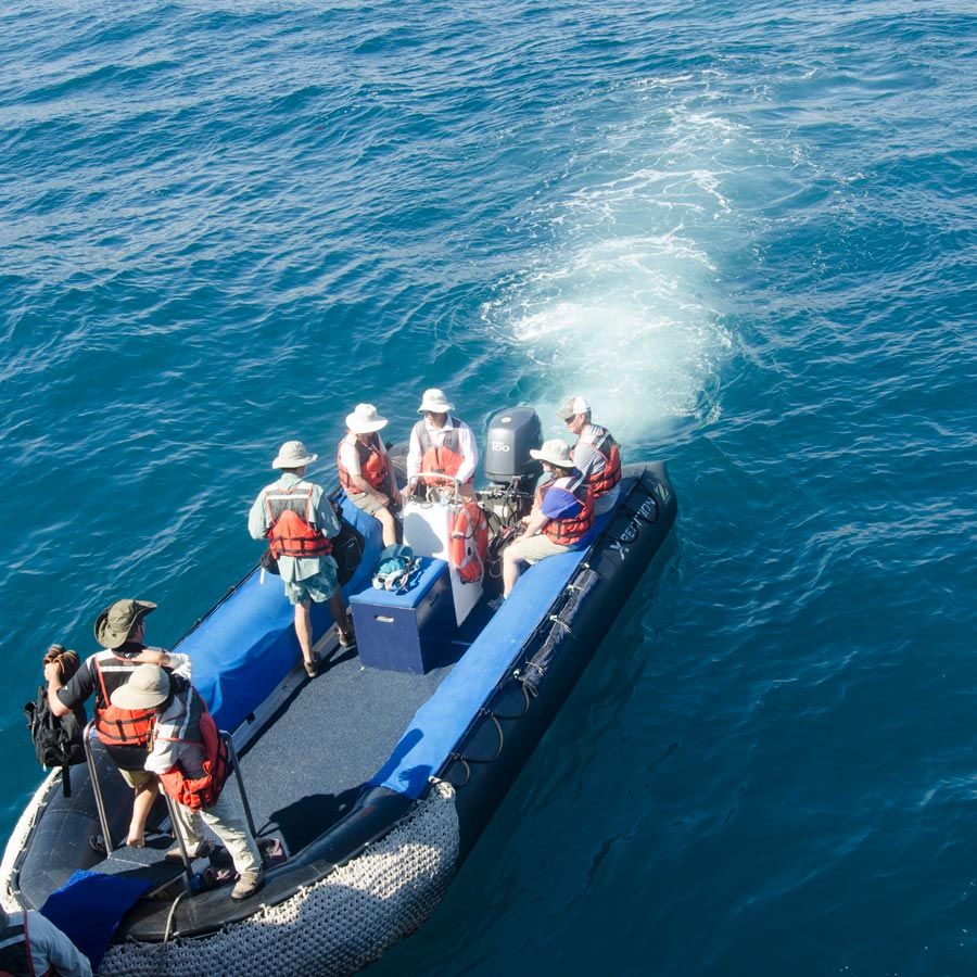 Croazieră în Galapagos