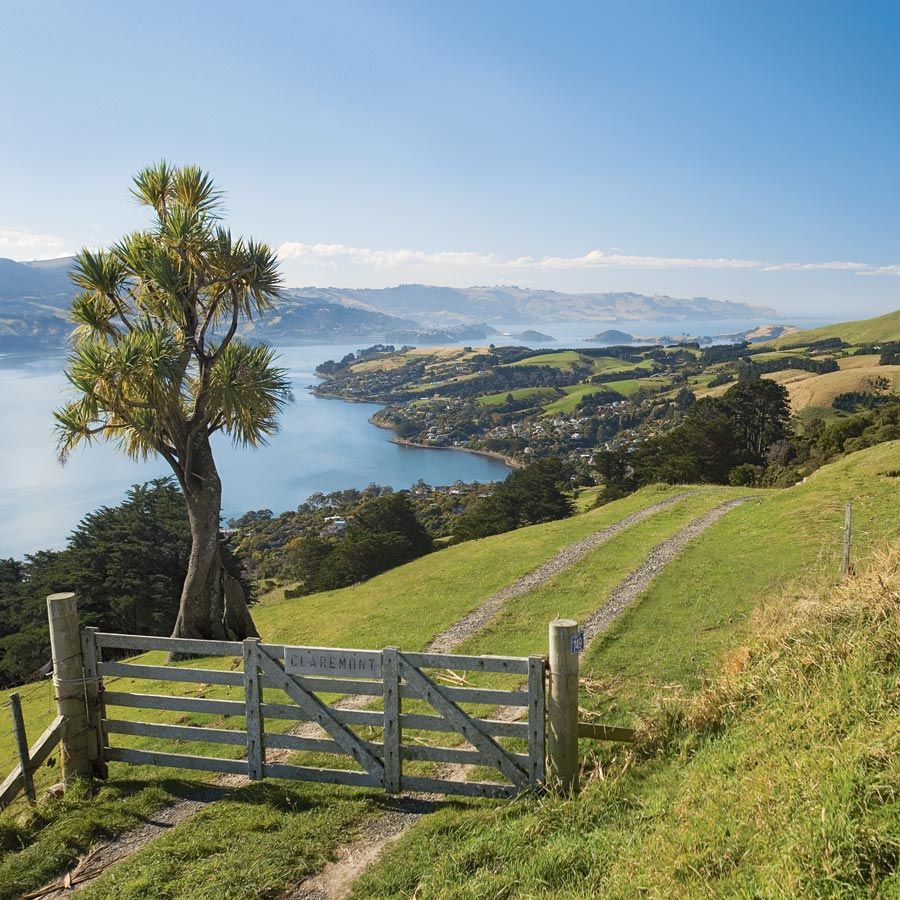 Dunedin, Noua Zeelanda