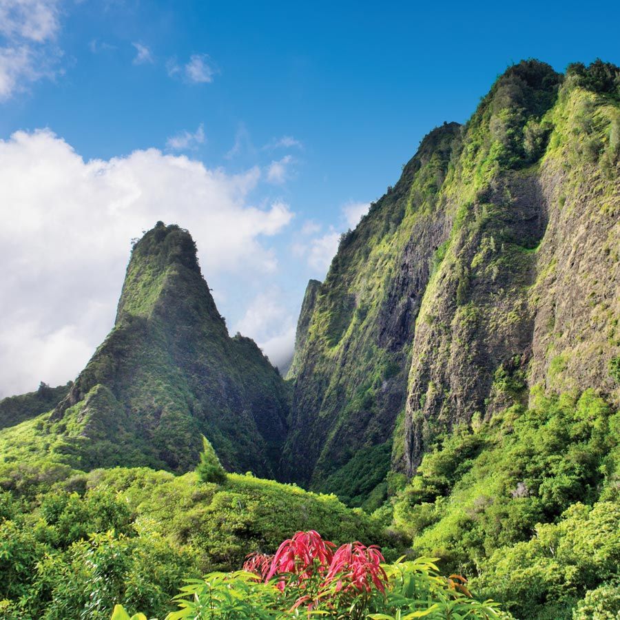 Croazieră în Hawaii