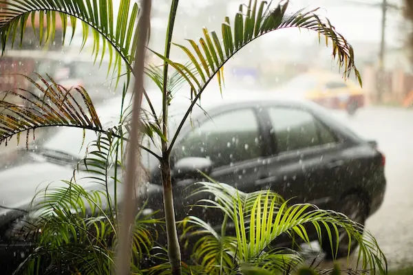 Car Parked