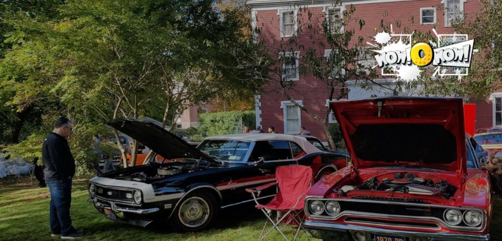 Car Enthusiast