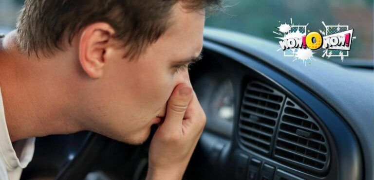 Why Does My Car Smell Like Fish