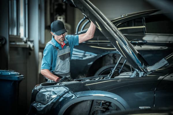 Free Recalls & Updates