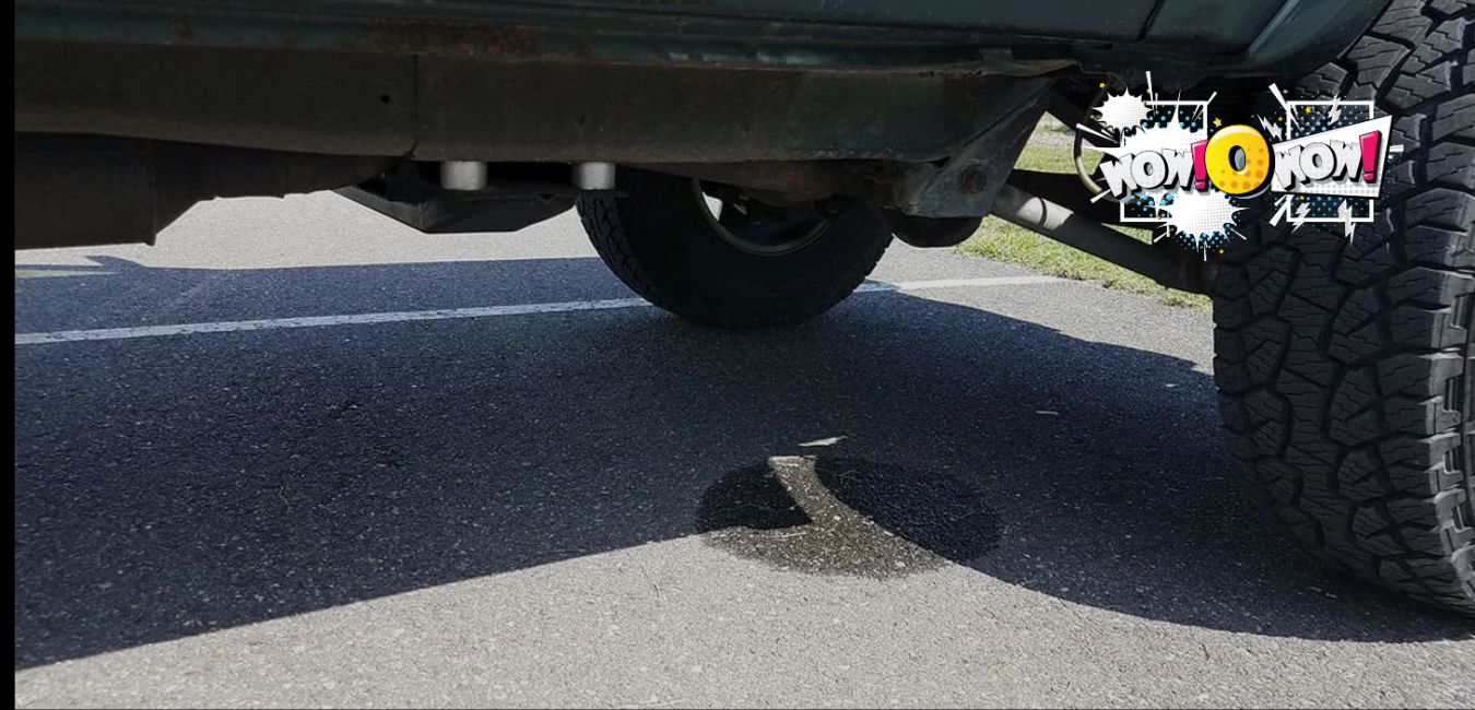 Is It Normal for a Car to Leak Water - wowOwow