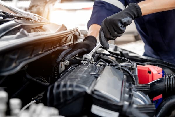 Standard maintenance