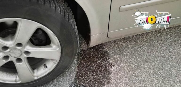 car leaking water underneath passenger side