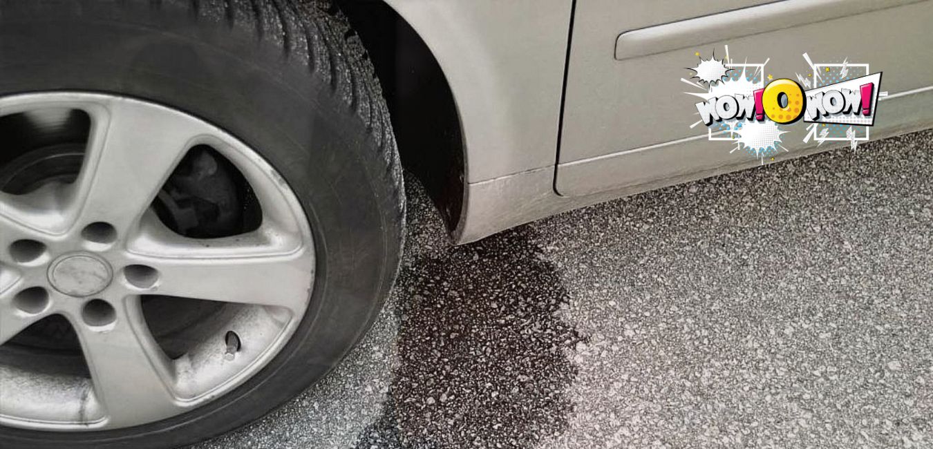 Troubleshooting Guide Car Leaking Water Underneath Passenger Side wowOwow