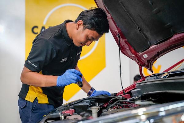 Professional Inspection