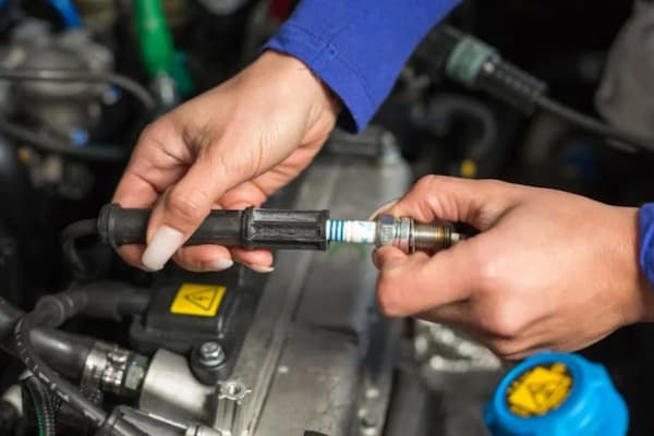 Professional Inspection