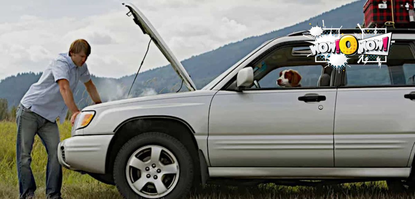 Why Is My Car Going Through Coolant So Fast wowOwow