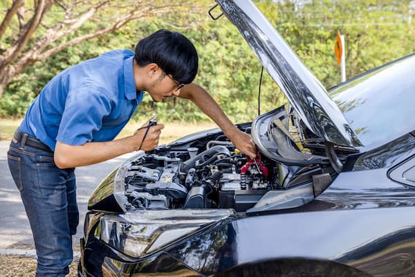 How To Reset The Wrench Light