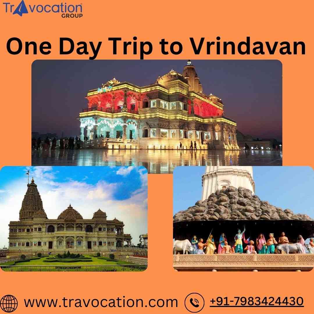 One Day Trip to Vrindavan by Travocation