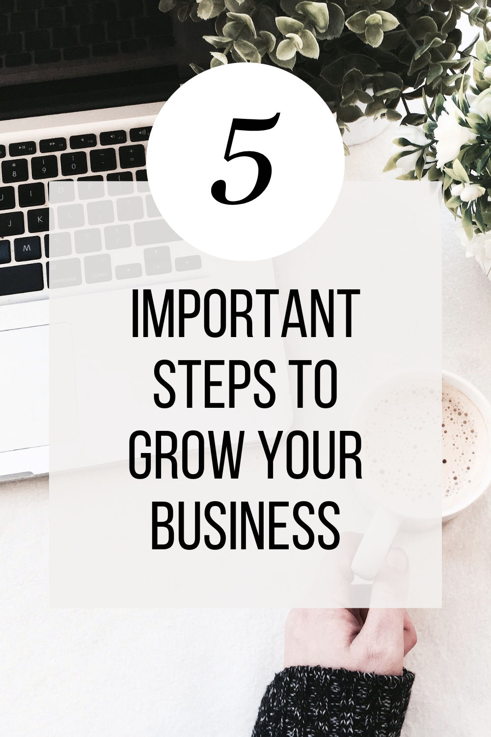 5 Important Steps to Grow Your Business