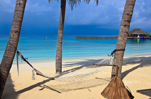 Hammock between palm trees at the beach