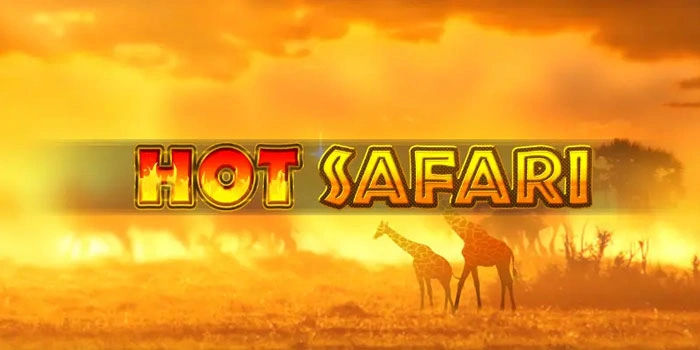 Slot Hot Safari: Teknik Membaca RTP Lebih Presisi