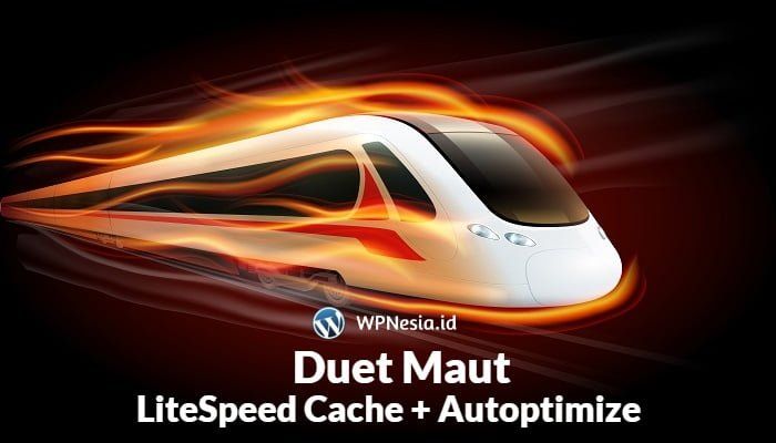 LiteSpeed Cache dan Autoptimize