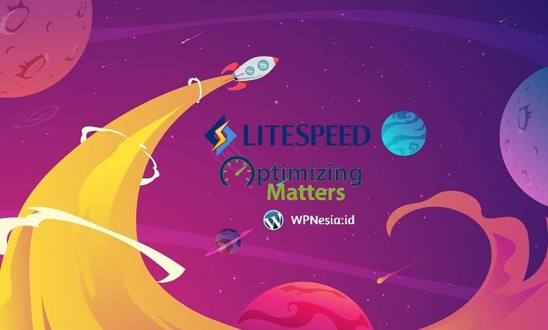 LiteSpeed Cache dan Autoptimize