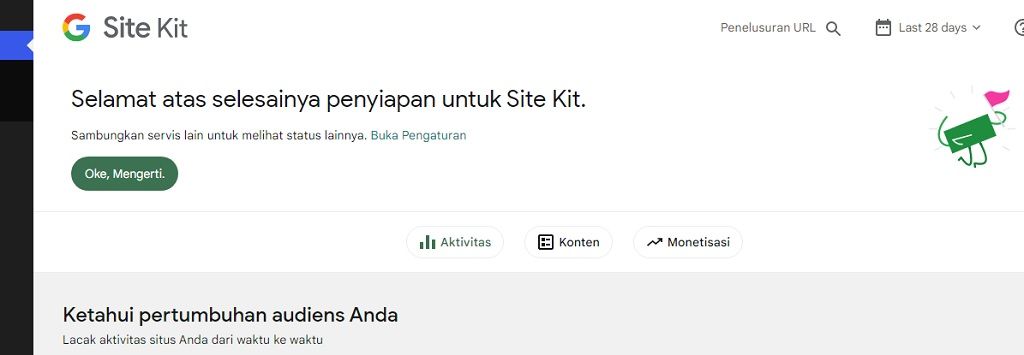 Plugin WordPress Untuk Memasang Google Analytics