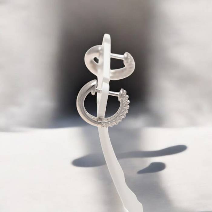 Sparkle and Shine: Sterling Silver Hoop Earrings with Cubic Zirconia Accents - A Must-Have for Every Jewelry Collection! – Image 6
