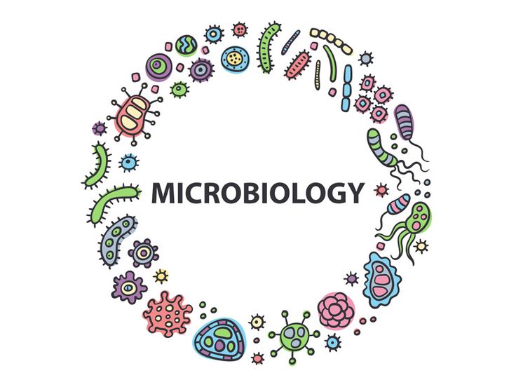 Microbiology: The study of life's smallest creatures
