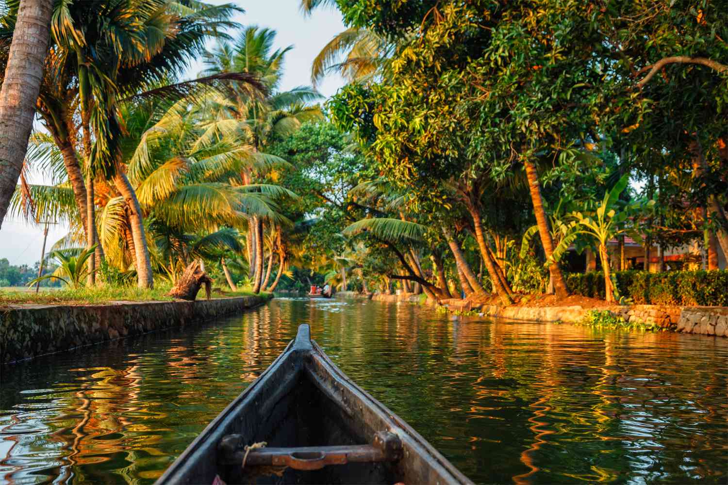 visit the backwaters