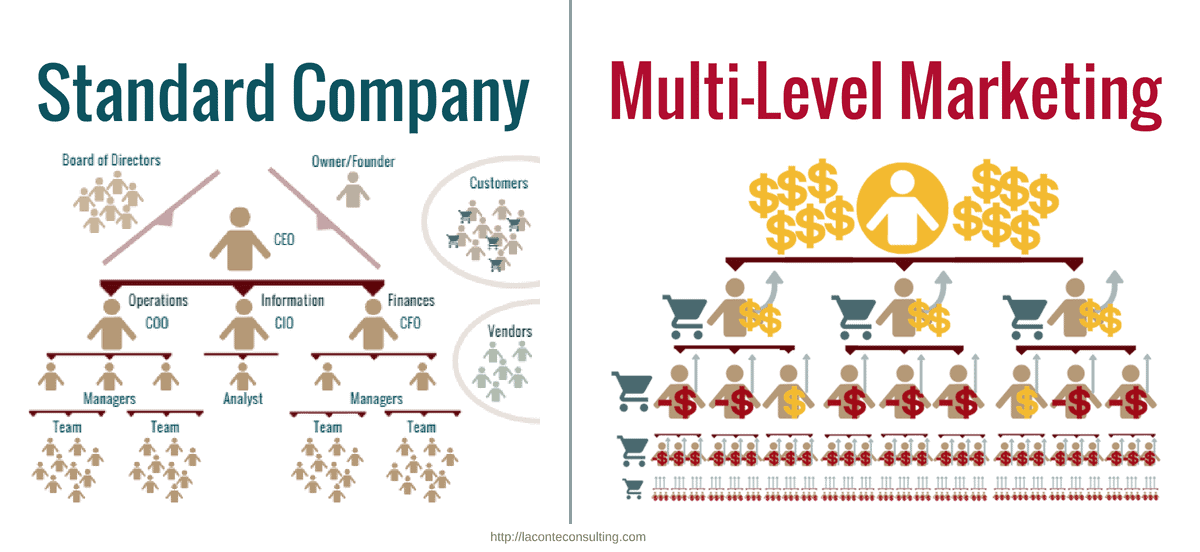 MLM Companies: What You Need to Know