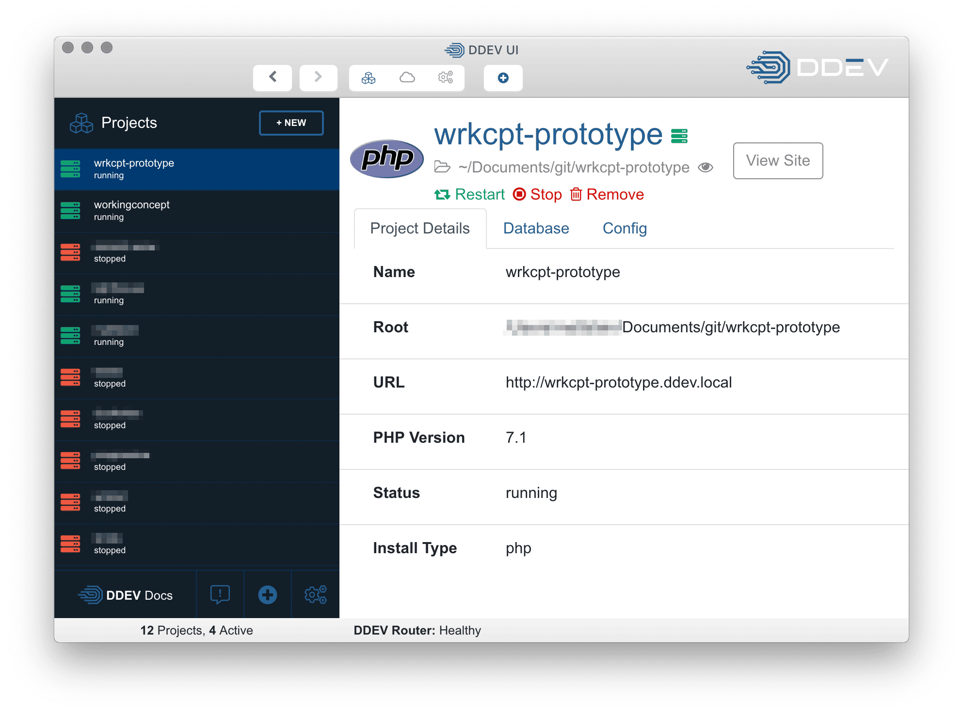 Screenshot of DDEV alpha UI.