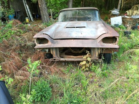 Family car 1959 Ford Thunderbird project for sale