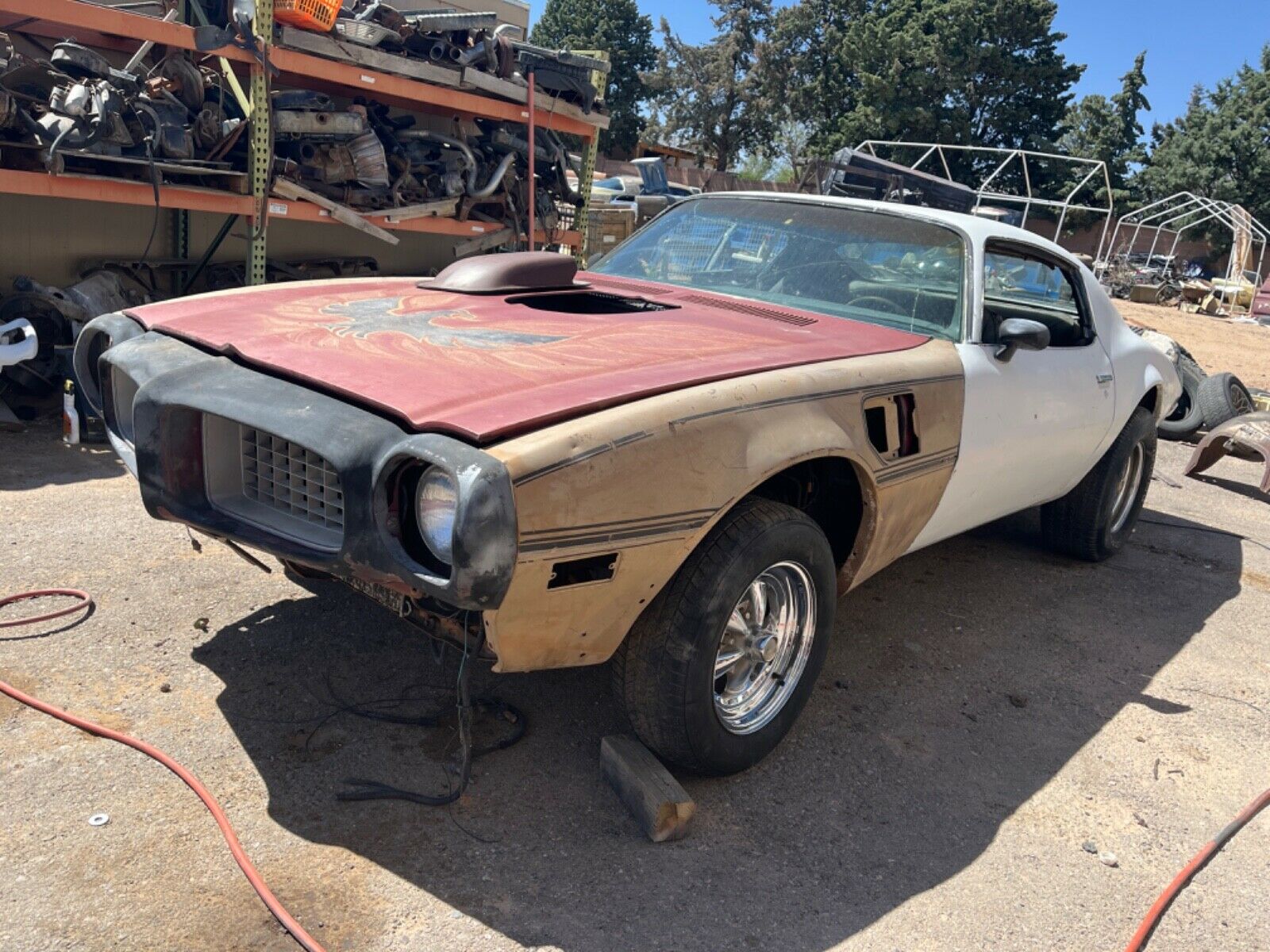 1974 Pontiac Firebird Trans Am Project for sale