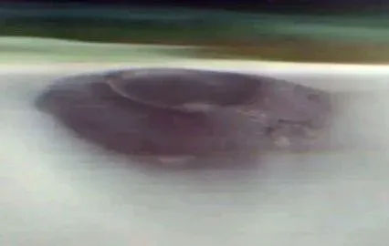 மவுண்ட் எவரெஸ்ட்டை விட அதிக உயரமான எரிமலை