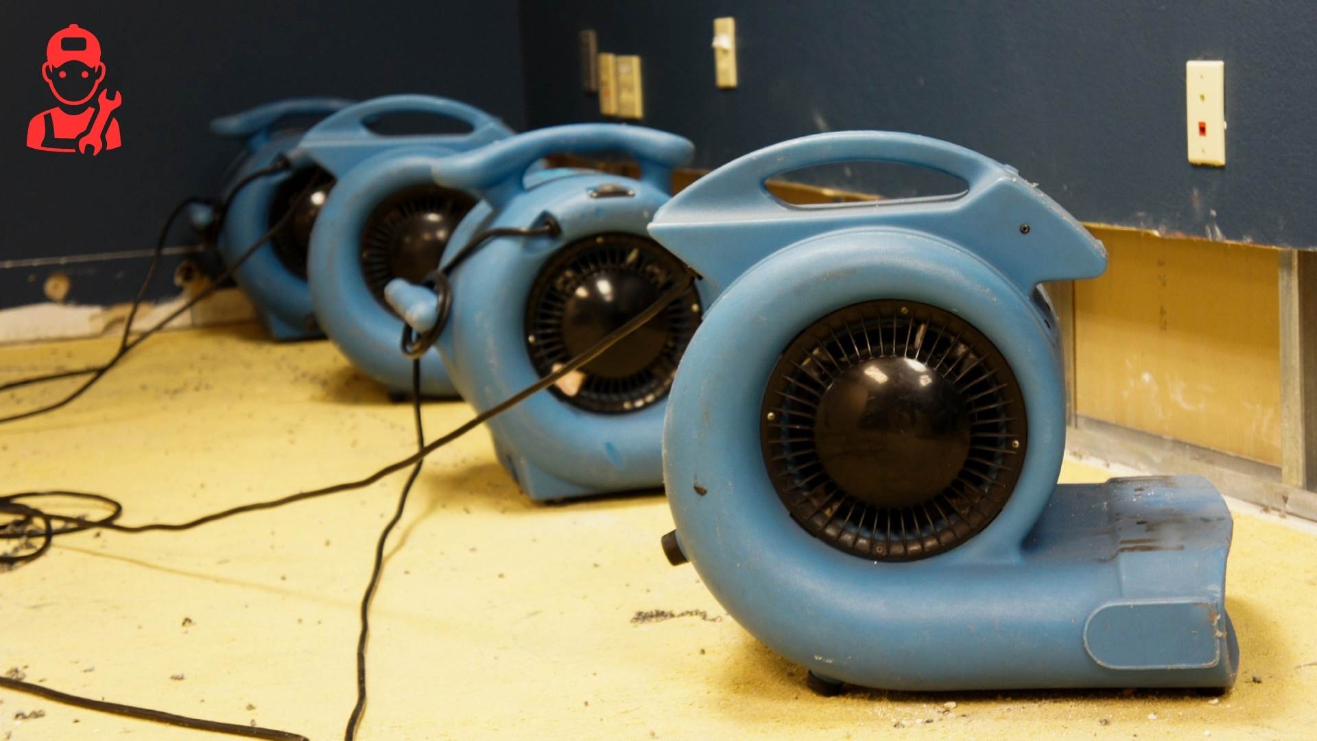 Best Church Water Damage Restoration in Nathrop, CO