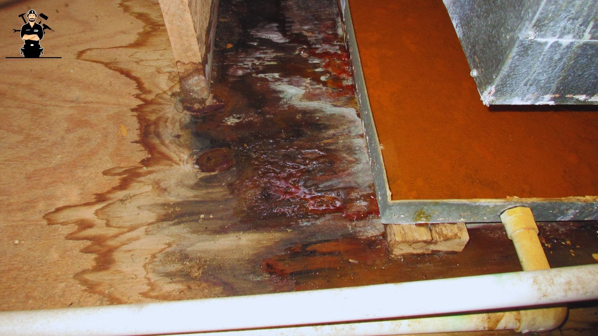 Best Hotel/Motel Room Water Damage Restoration in Venedocia, OH