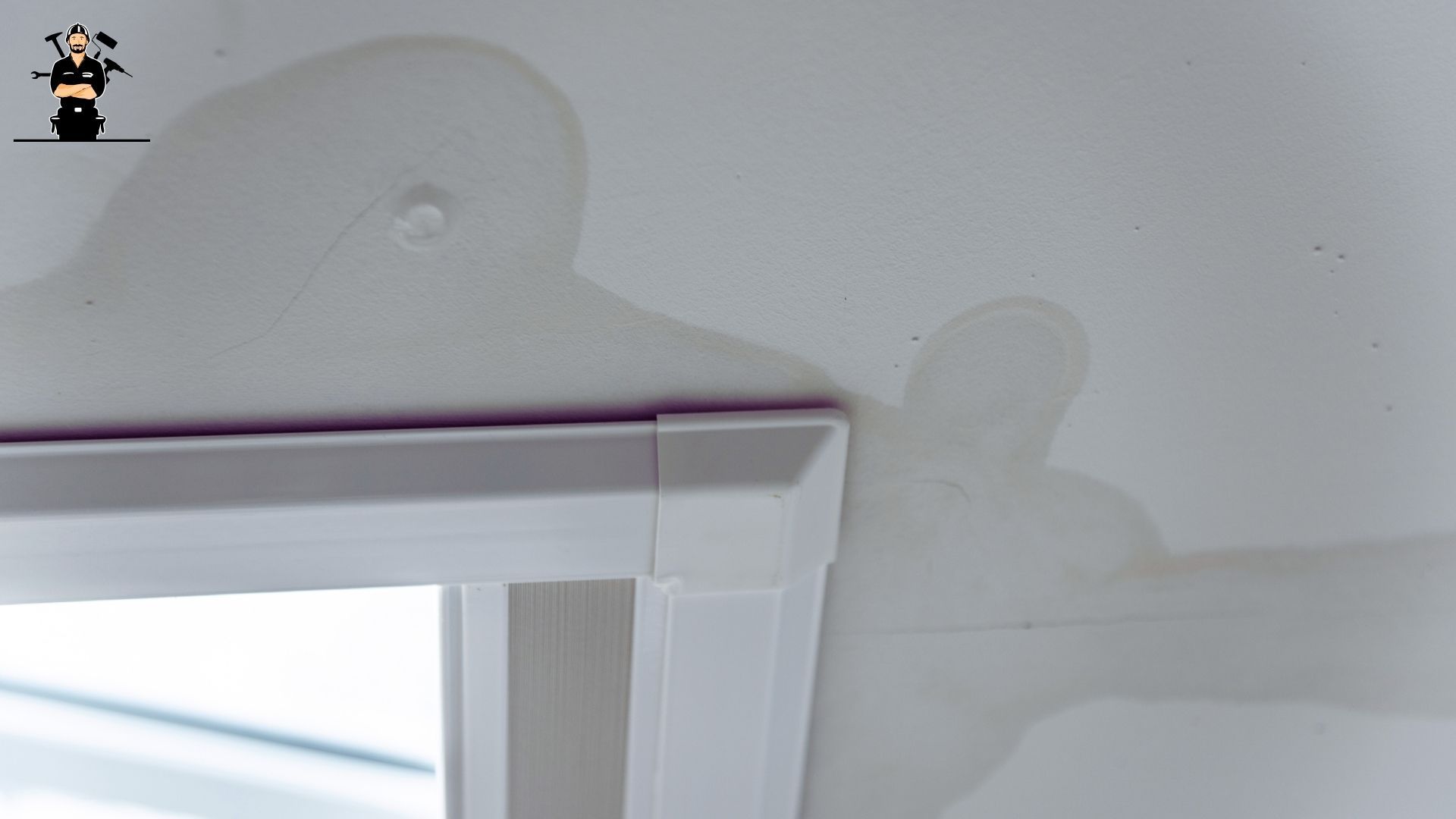 FAQS about Moisture Mapping Water Damage Services in Draper, UT
