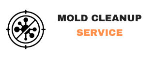 Oak Bluffs, MA Mold cleanup