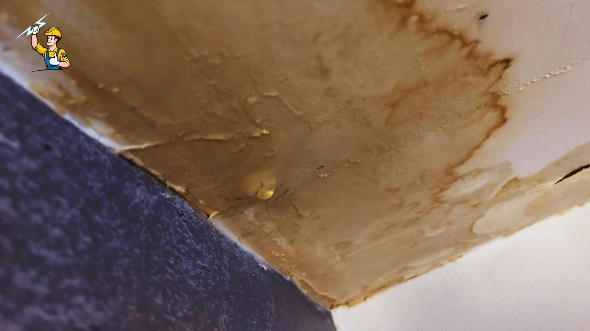 Pool Overflow Water Damage Service in Fond Du Lac, WI