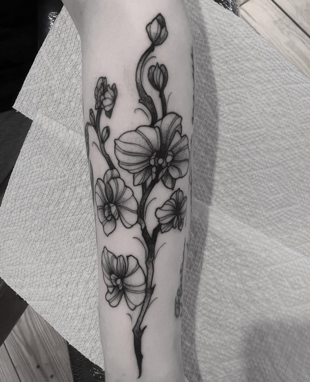 Traditional tattoo by Niculin Gross