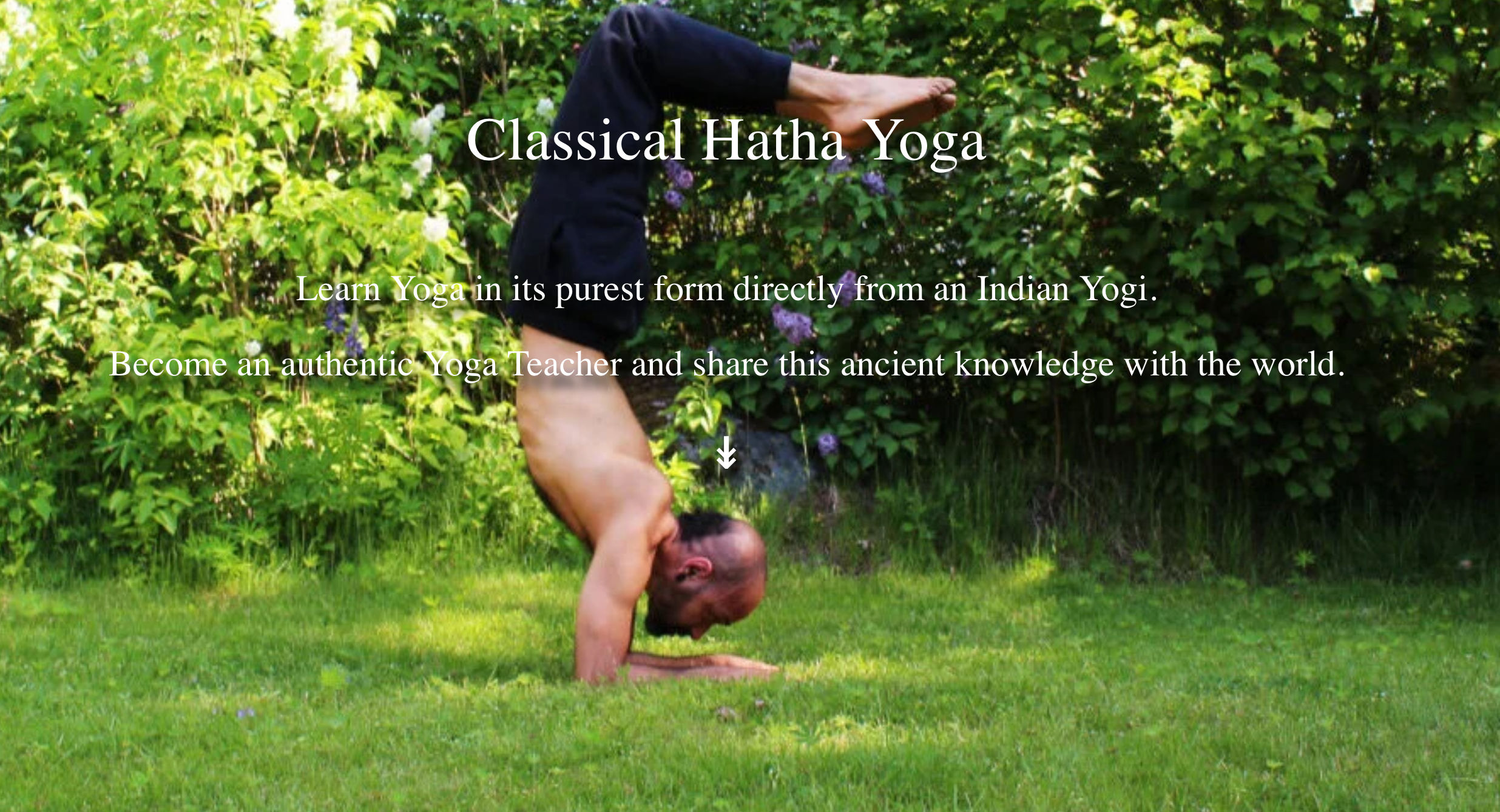 Yoga retreat image 4