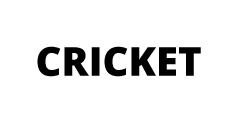 Cricket Wireless